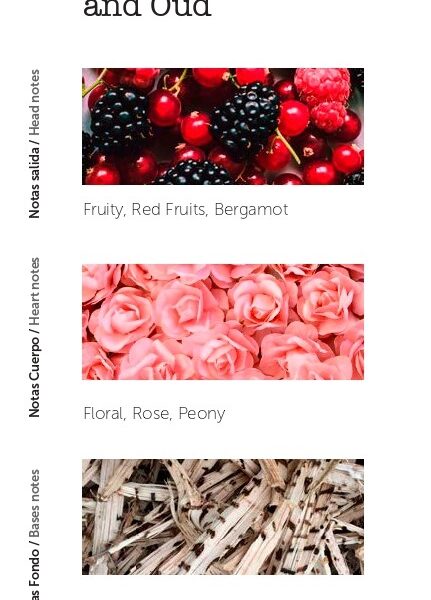 Bulgarian Rose & Oud es una fragancia dulce y aterciopelada. Es un aroma natural y suave que otorga distinción a cualquier ambiente. Bulgarian Rose & Oud es un abrazo en medio de la noche. Fragancia de aroma floral dulzona. La rosa más oscura de Damasco, rica y aterciopelada, se envuelve en madera de Oud ahumada. Fragancia utilizada en las velas aromáticas por mayor más distinguidas. Producto ecológico. Hecho a mano artesanalmente en España. Cantidad: 100 ml. Duración 4-6 semanas. Alabama Shop