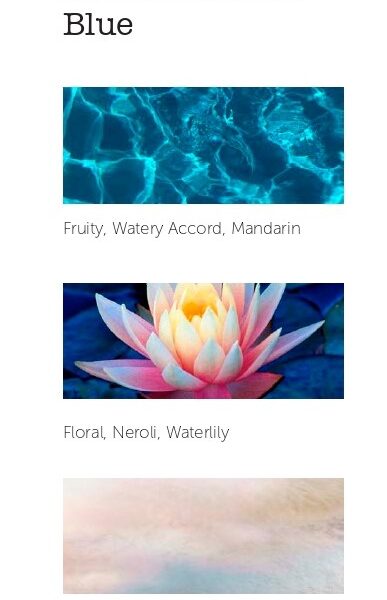 Su aroma nos traslada al corazón del mar mediterráneo donde nos embriaga un perfume bañado de flores blancas y gotas cítricas. Mediterranean Blue son unas vacaciones que no quieres que terminen nunca. Creaciones 100% naturales. Hechas a mano en España con cera de soja. Garantizados sin sustancias químicas (parafina, derivados minerales u otros colorantes) y sin productos de origen animal. Peso neto: 230 gr. Duración: 50 h. Alabama Shop