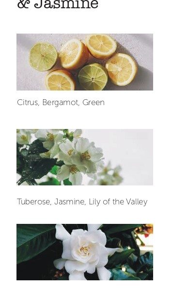 Tuberose & Jasmine es un amanecer en los patios tradicionales de Andalucía con su potente aroma a flores frescas y sus matices a jazmín y azahar. Los toques de narciso invitan al descanso y a disfrutar de momentos únicos Ambienta tu hogar y tu cuerpo con el spray perfumado premium de Cereria Mollá 1899. Producto ecológico. Hecho a mano artesanalmente en España. Cantidad: 100 ml Alabama Shop