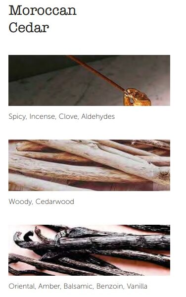 Fragancia adictiva y cautivadora de mezclas especiadas, leñosas y dulces que la hacen singular. Producto ecológico. Hecho a mano artesanalmente en España. 20 varillas de 23 cm con un diámetro de 4 mm con una duración aproximada de 50 minutos. Alabama Shop